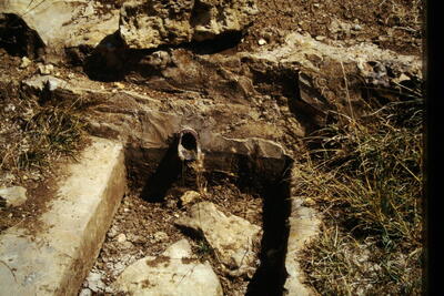 Fuente del Pozuelo (arriba) - imagen 3