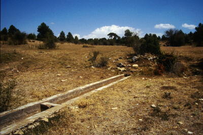 Fuente del Pozuelo (arriba) - imagen 7