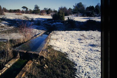 Fuente del Pozuelo (arriba) - imagen 6