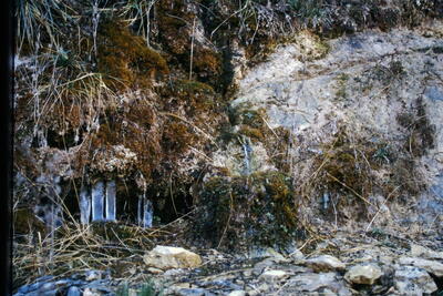 Fuente la Zarzarihuela - imagen 4