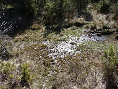 Fuente del Cambronal - imagen 6