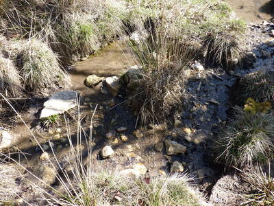 Fuente del Cambronal - imagen 7