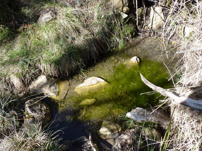 Fuente del Cambronal - imagen 5