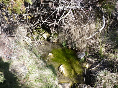 Fuente del Cambronal - imagen 3