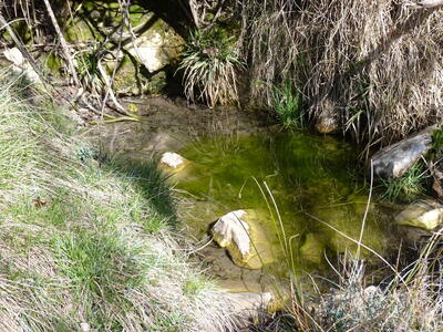 Fuente del Cambronal - imagen 2