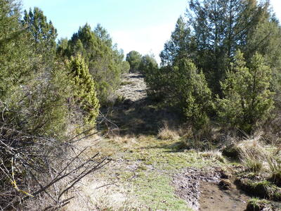 Fuente del Cambronal - imagen 8