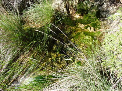Fuente del Corral de Peñas - imagen 4