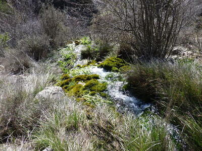 Fuente del Corral de Peñas - imagen 1