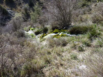 Fuente del Corral de Peñas - imagen 8