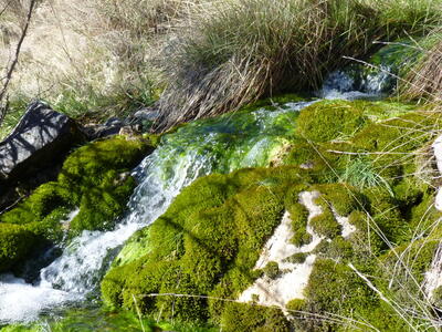 Fuente del Corral de Peñas - imagen 7