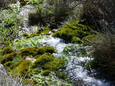 Fuente del Corral de Peñas - imagen 2