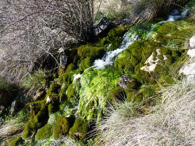 Fuente del Corral de Peñas - imagen 3