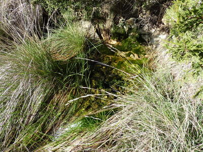 Fuente del Corral de Peñas - imagen 6