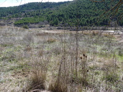 Fuente del Majano - imagen 8
