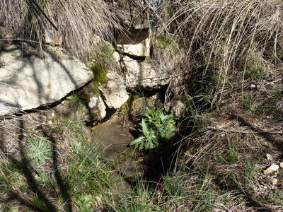 Fuente del Majano - imagen 4