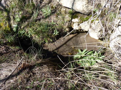 Fuente del Majano - imagen 2