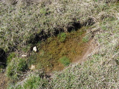 Fuente el Navazo - imagen 7