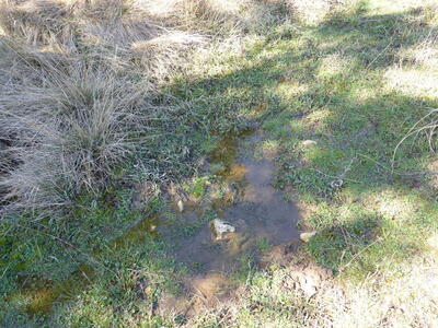 Fuente el Navazo - imagen 8