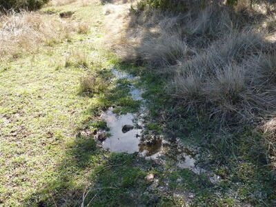 Fuente el Navazo - imagen 3