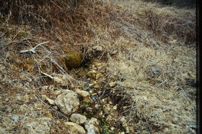 Fuente la Toba - imagen 2