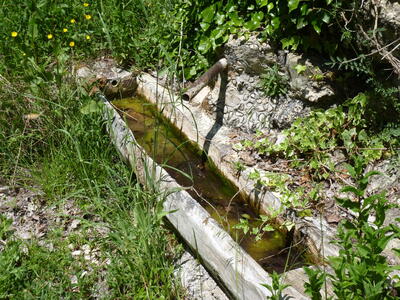 Fuente del Tío Marcos - imagen 4