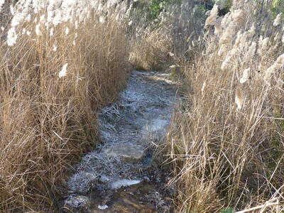 Fuente del Arenal I - imagen 6