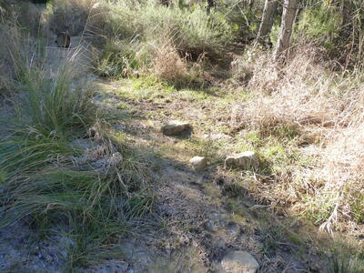 Fuente del Arenal II - imagen 3