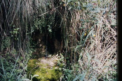Fuente de la Canaleja - imagen 2