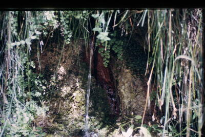 Fuente de la Canaleja - imagen 1