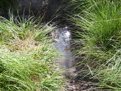 Fuente de Cueva Secreta - imagen 6