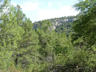 Fuente de Cueva Secreta - imagen 9