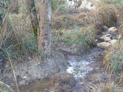 Fuencaliente - imagen 8
