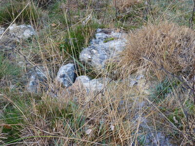 Fuencaliente - imagen 9