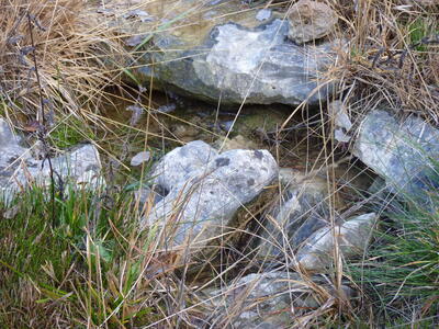 Fuencaliente - imagen 6