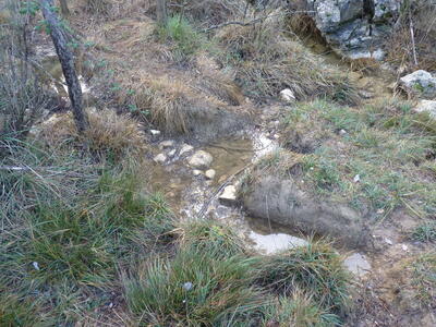 Fuencaliente - imagen 3