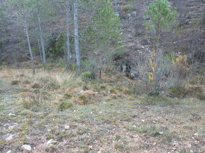 Fuencaliente - imagen 1