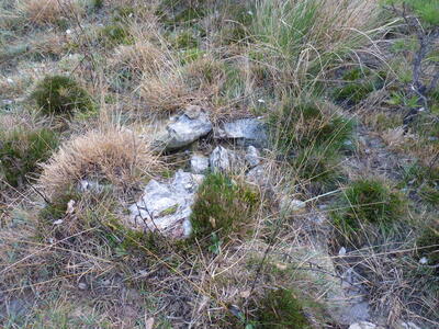 Fuencaliente - imagen 2