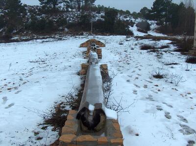 Fuente del Huerto del Tio Tomasillo - imagen 7