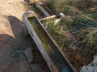 Fuente de Prado Sanchón - imagen 6