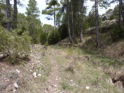 Fuente del Aguadero - imagen 3