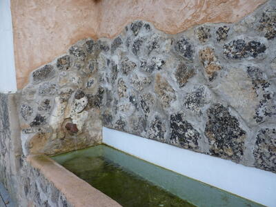 Fuente de Arriba - imagen 2