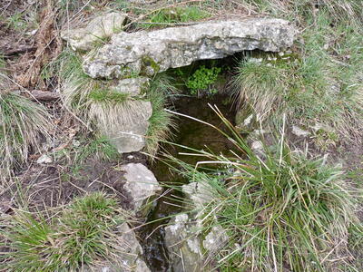 Fuente de la Guija - imagen 3