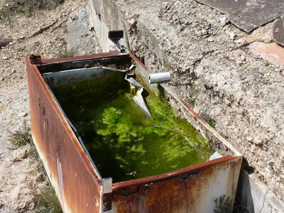 Fuente de la Sardinilla - imagen 2