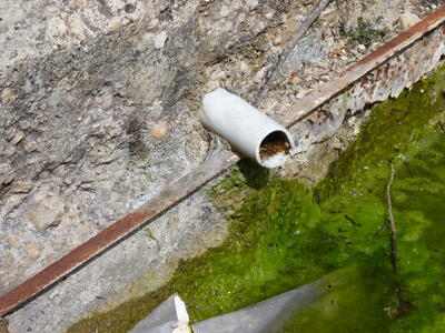 Fuente de la Sardinilla - imagen 3
