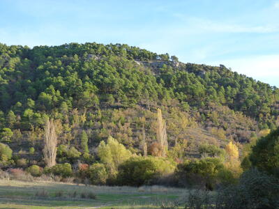 Fuente del Tejar - imagen 8