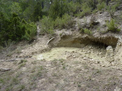 Sin nombre 20032026 - imagen 1