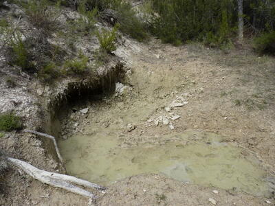 Sin nombre 20032026 - imagen 4
