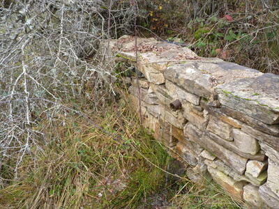 Fuente Ulpiano - imagen 3
