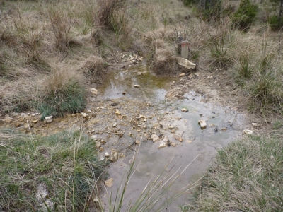 Fuente de Valdeavellano - imagen 6