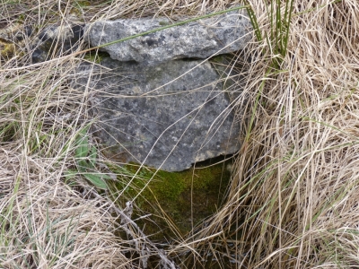 Fuente de Valdeavellano - imagen 2